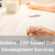 ERP-based Web Development Services